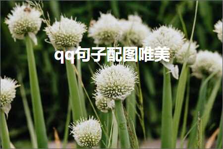 qq鍙ュ瓙閰嶅浘鍞編锛堟枃妗?00鏉★級