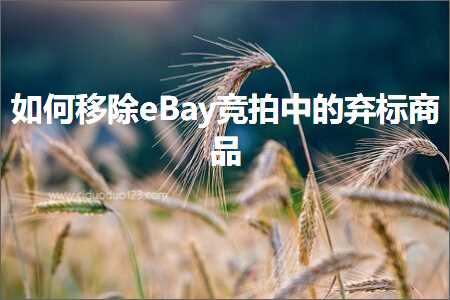 璺ㄥ鐢靛晢鐭ヨ瘑:濡備綍绉婚櫎eBay绔炴媿涓殑寮冩爣鍟嗗搧