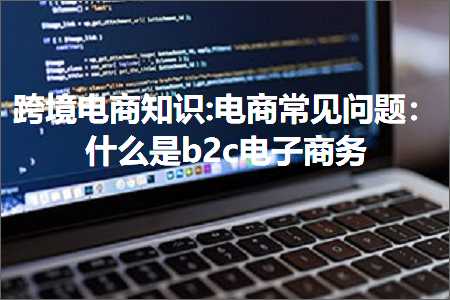 跨境电商知识:电商常见问题：什么是b2c电子商务