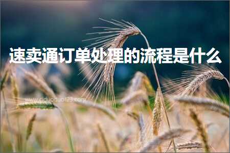 跨境电商知识:速卖通订单处理的流程是什么