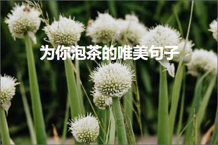 涓轰綘娉¤尪鐨勫敮缇庡彞瀛愶紙鏂囨395鏉★級