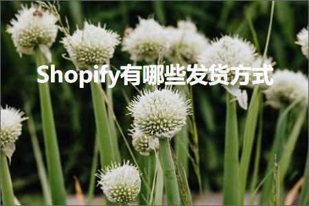 跨境电商知识:Shopify有哪些发货方式