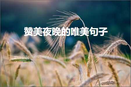 璧炵編澶滄櫄鐨勫敮缇庡彞瀛愶紙鏂囨293鏉★級